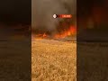 Firefighters tackle fire tornado in Turkey