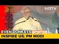 3 Days After 'Donkeys Of Gujarat' Insult, PM Narendra Modi Responds