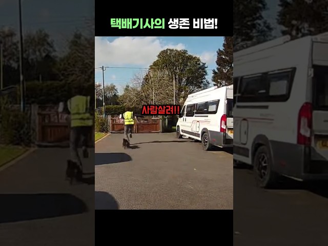 택배기사의 개물림 생존 비법!