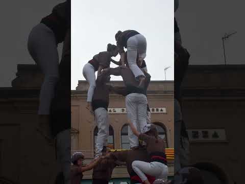 Diada castellera Cervera 2026