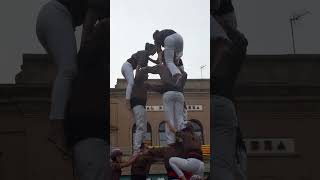 Diada castellera Cervera 2026