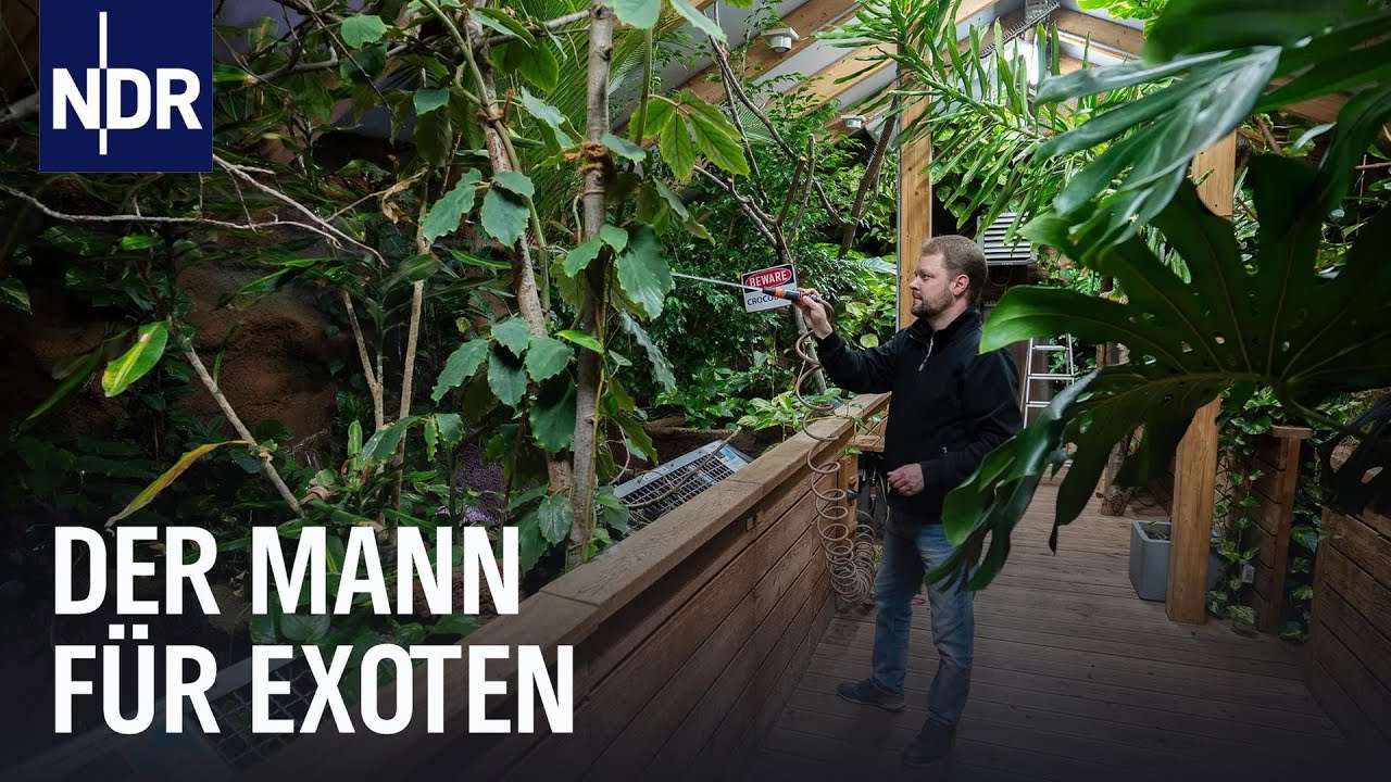 Seelter Reptilienhuus: Zu Hause für Krokodil & Co.| Die Nordreportage | NDR Doku