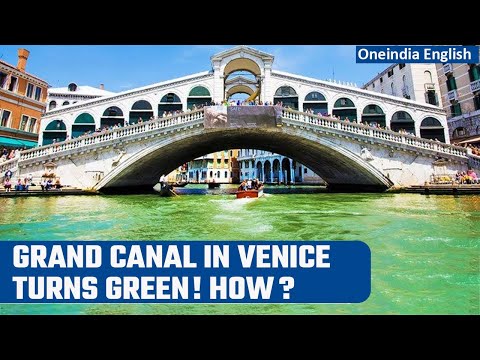 Venice's Grand Canal turns mysteriously green, visuals