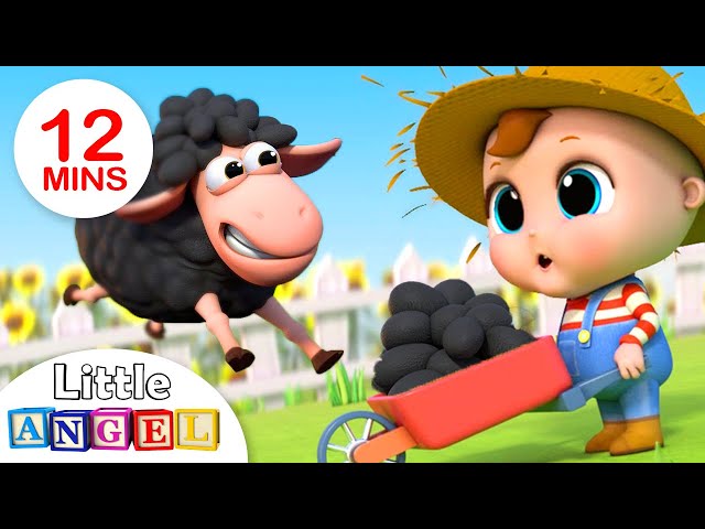 Baa Baa Black Sheep | Nursery Rhymes by Little Angel