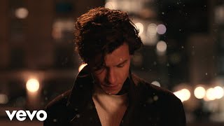 It’ll Be Okay – Shawn Mendes (Live from Los Angeles) | Music Video