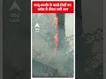 Fire News: जम्मू-कश्मीर के बाली-तिर्शी वन ब्लॉक में लगी भीषण आग | ABP Shorts  - 00:28 min - News - Video