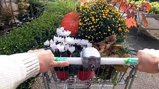 Visite des pépinières en Automne 🍁 🌼