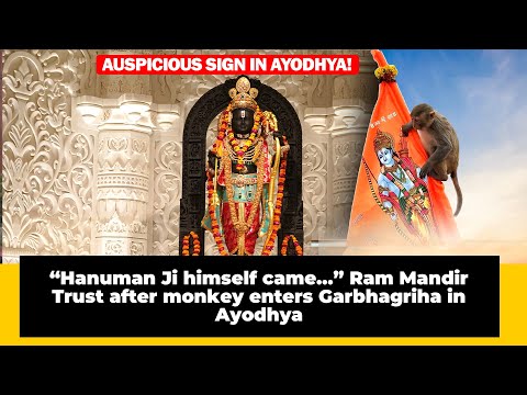 “Hanuman Ji himself Came…” Ram Mandir Trust After Monkey Enters ...