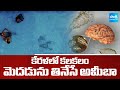 కేరళలో కలకలం | Brain-Eating Amoeba in Kerala | Brain Eating Amoeba Symptoms | @SakshiTV