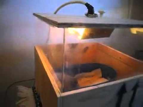 Come realizzare una camera calda per uccelli | Animali dal ...