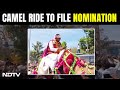 Rajasthan Lok Sabha Elections: Candidate Arrives On Camel To File Nomination In Rajasthans Banswara