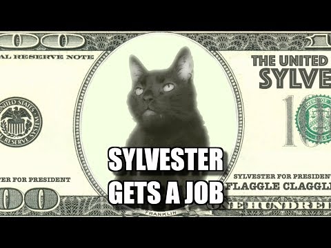Upload mp3 to YouTube and audio cutter for Talking Kitty Cat #67.5 - Sylvester Gets A Job download from Youtube