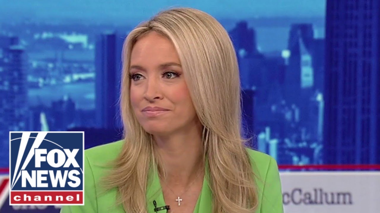 Kayleigh McEnany: Americans have ‘whiplash’ over anti-Trump rhetoric