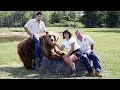 Family Live With 13 Bears In Their Backyard -Exclusive visuals