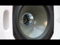 Tannoy's commercial installation products - CMS, CVS and DVS