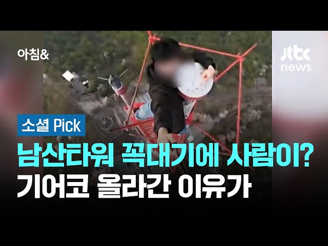 남산타워 꼭대기에 사람이?…기어코 올라간 이유가 #소셜픽 / JTBC 아침&
