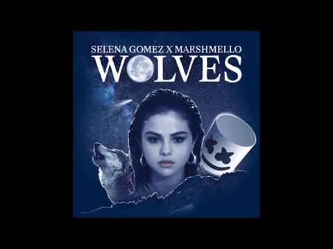 Wolves - Selena Gomez (Lyrics)