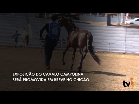 Vídeo: Exposição do Cavalo Campolina será promovida em breve no Chicão