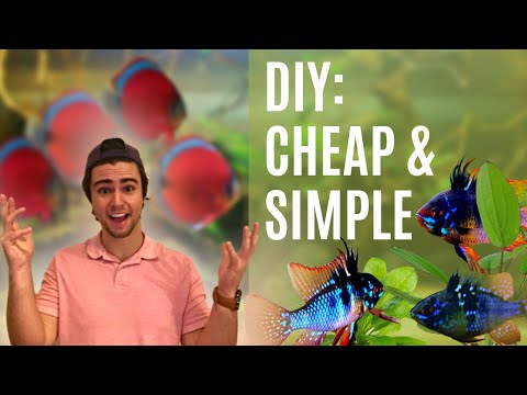 DIY: Simple Amazon AQUASCAPE Tutorial For Beginner Hey everyone!

Hope you enjoy this one!

I decided that before I get more and more into the books, I