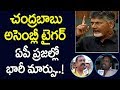 AP Public Talk On Chandrababu Losing Cool In Assembly