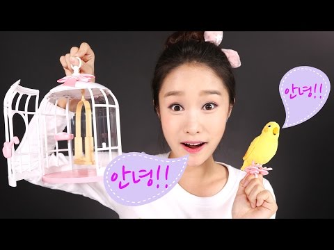 따라쟁이 앵무 장난감 캐리의 말하는 애완동물 인형 놀이 CarrieAndToys
