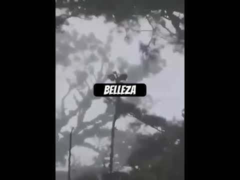 #clima#extremo#viral