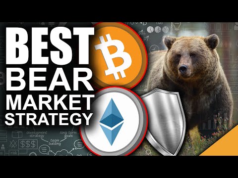 BEST Bear Market Strategy for 2021 (How to Protect Your Crypto)