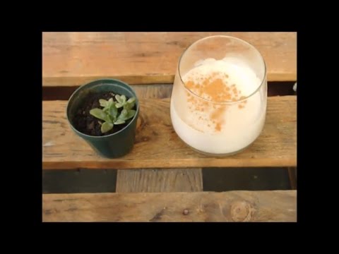 Manjar de leche / Facil / Sin horno / Cocina / Manos a la obra