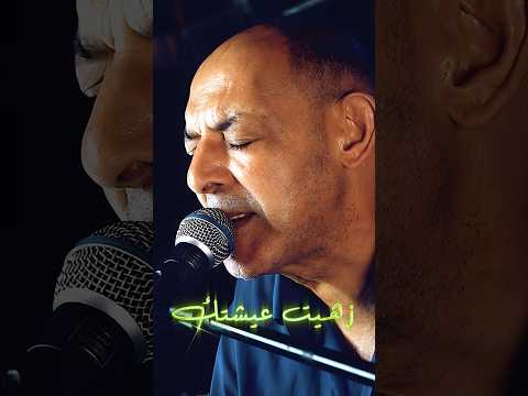 💔 الشيخ ناني يعود بألم السنين | زهيت عيشتك مرّرت عيشتي 🥀 © #live #love #cheikhnani #3orch #shorts