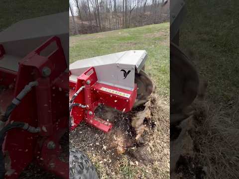 Stump Grinding On Another Level