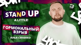 Stand Up 2024 | A little | ГОРМОНАЛЬНЫЙ ВЗРЫВ | Илья Синенко | Edwin Group