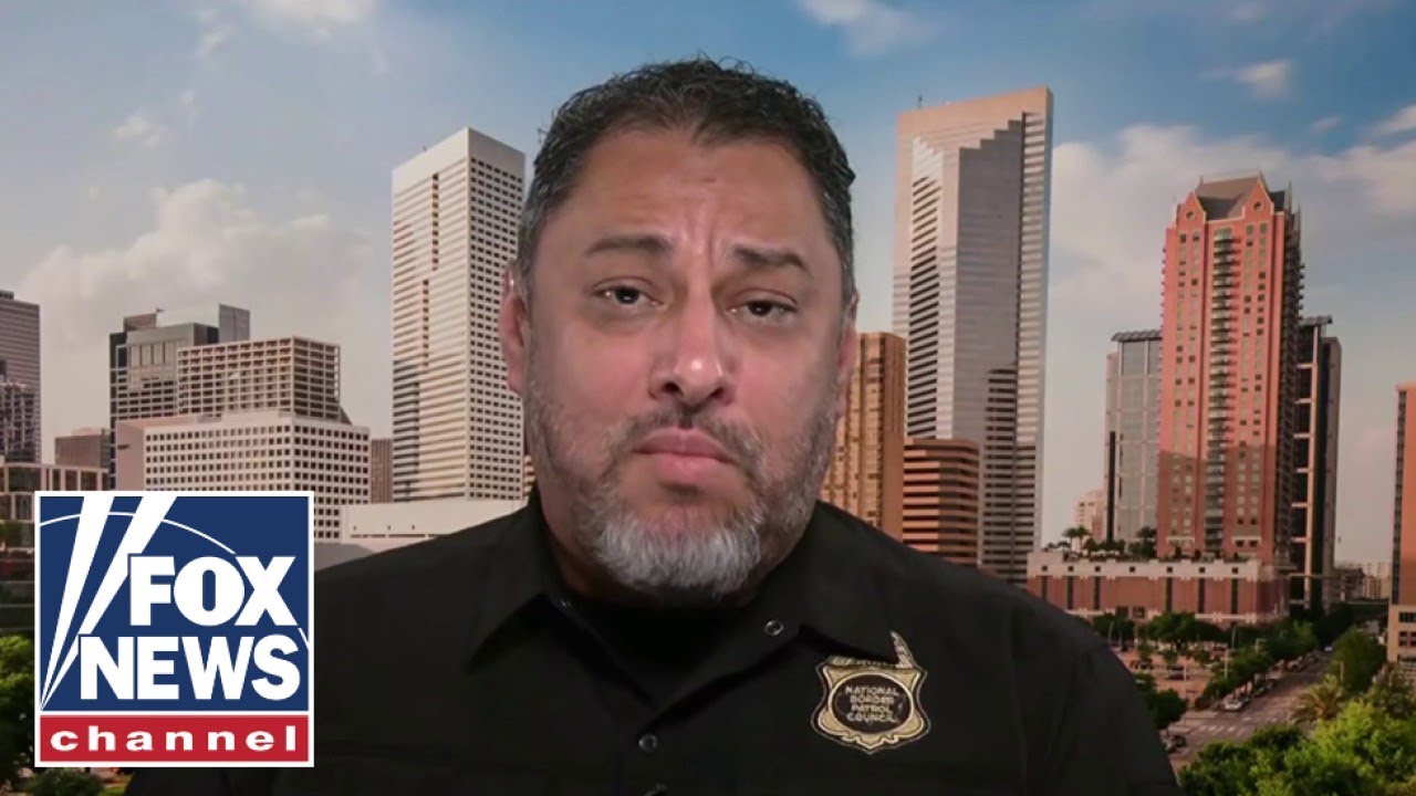 'JUDICIAL ACTIVISM': Border expert slams federal judges for stymying Trump immigration crackdown