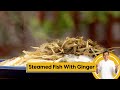 Steamed Fish with Ginger | Ginger Steamed fish Recipe | Seafood Recipe | Sanjeev Kapoor Khazana