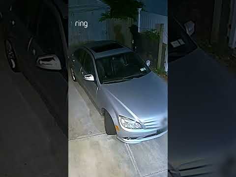 Watch as Two-Way Talk stops a potential car theft in its tracks.