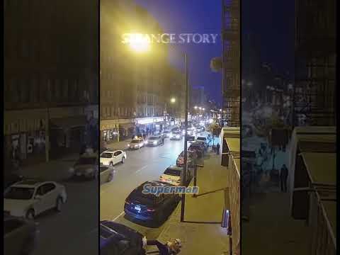 City Hero Catches Falling Dog from 5th Floor! 🐾 Miracle Rescue Caught on CCTV!