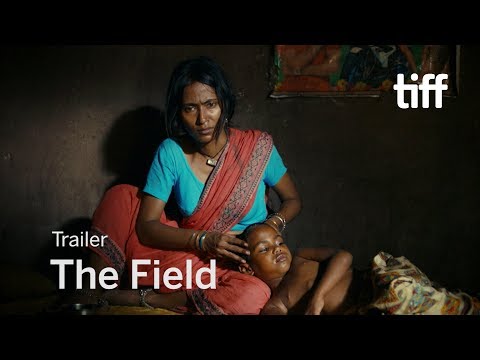 The Field'