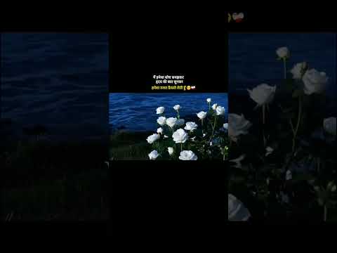 ग़लत फ़ैसले🙂❤️‍🩹 #shorts #pain #sad #viral #new #love #sadstatus #sadsong #sadstory #relatable #yt