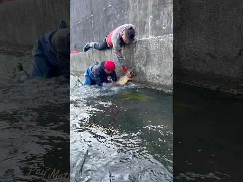 Nag agawan sa malaking isda ang dalawang mangingisda #trending #fishing #shorts #viralvideo #amazing