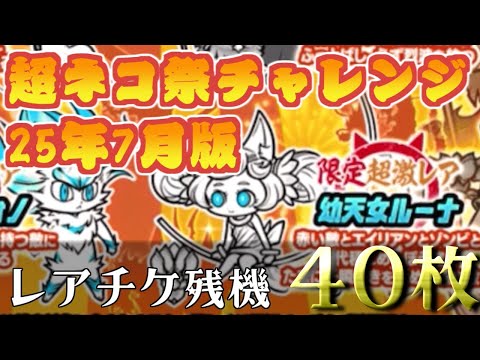 猫の動画サムネイル - 【にゃんこ大戦争】超激レアが超出やすい、それが超ネコ祭　25年7月超ネコ祭チャレンジ　最大40枚