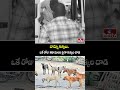 వామ్మో కుక్కలు.. ఒకే రోజు 20 మంది పైగా కుక్కల దాడి | Dog Attack Inciden Rajanna Sircilla | hmtv  - 01:00 min - News - Video