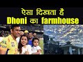 Dhoni's wife Sakshi shares exclusive video of her farm house