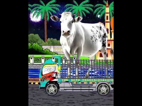 Parade takbiran keliling malam idul adha 2025 ada sapi kurban #allahuakbar #fyp  #takbiran