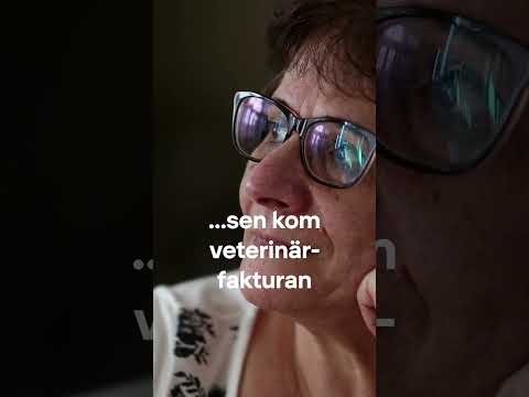 Ekonomicoachen - få bättre koll på pengarna