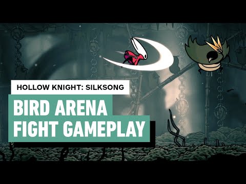 Hollow Knight: Silksong Battle Arena/Locked Room - Birds Fight (Greymoor)