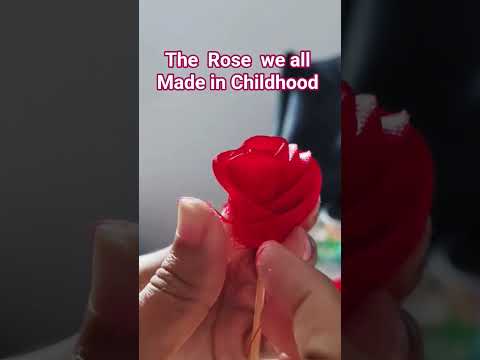 #roseflower #lovetodo#shortviral #youtubeshorts #reelsvideo #subscribers