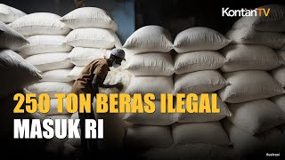 250 Ton Beras Ilegal Masuk ke RI, Mentan Amran Sebut Lewat Zona Bebas Perdagangan