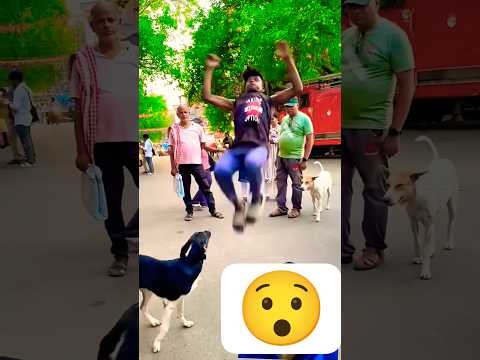 Performs Amazing Flip in front of Dog🐶🤸♂️ #dogflip #dogtricks #funnydogs #agilitydog #pets #viral
