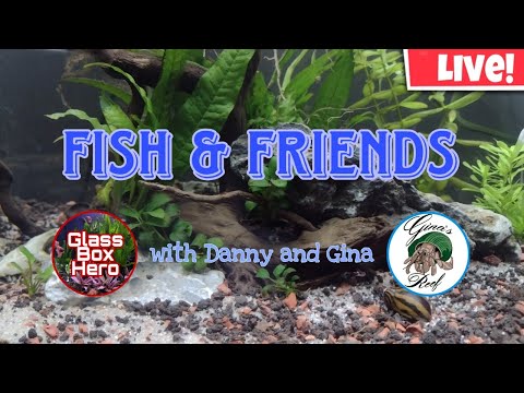 Fish & Friends with Danny and Gina | Season 2, Epi #GlassBoxHero #GinasReef #Fish&Friends #Aquariums #birds 

Be sure to go subscribe to Gina_ https_//