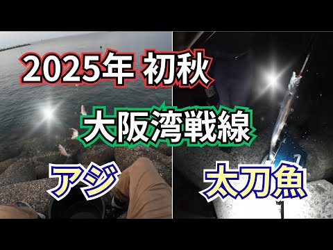2025年初秋の大阪湾泉南 ～アジ・タチウオ戦線～