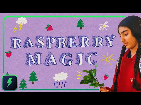 Raspberry Magic'